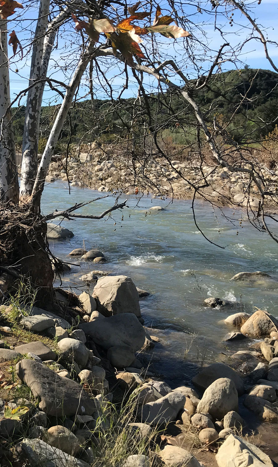 VenturaRiver-winter-800